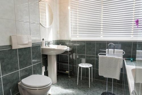 阿姆斯特丹普林森公寓住宿加早餐旅馆的一间带卫生间和水槽的浴室