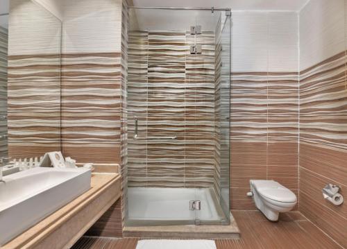 开罗托里家庭公园酒店的带淋浴、卫生间和盥洗盆的浴室