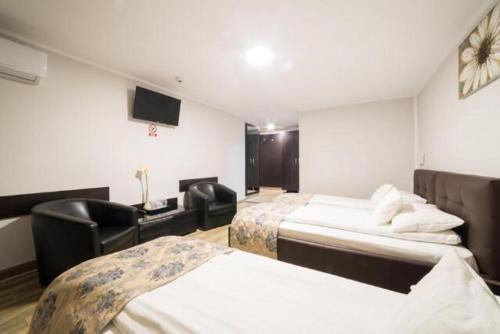 雷希察Pensiunea Europa的一间酒店客房,设有两张床和电视