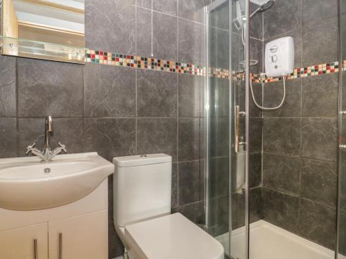 布兰德福德福鲁姆Tiny Willow的浴室配有卫生间、盥洗盆和淋浴。
