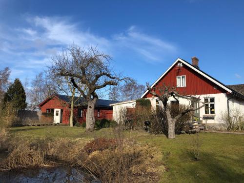 赫尔辛堡Villa Maria Garden Cottages, Helsingborg的一座红白色房子,在院子里种有树木