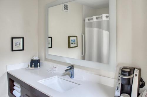 莫比尔提尔曼斯角莫比尔10号州际公路假日酒店的一间带水槽和大镜子的浴室