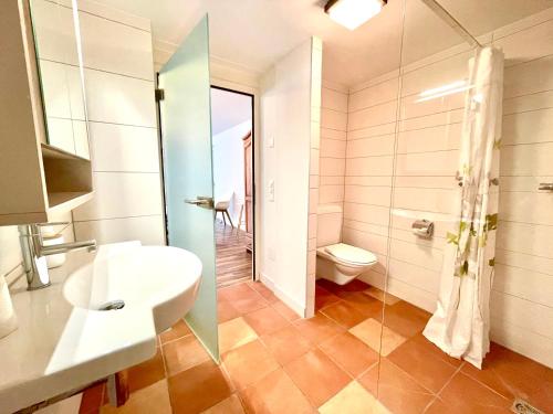 Alpnach皮拉图斯公寓的一间带水槽和卫生间的浴室