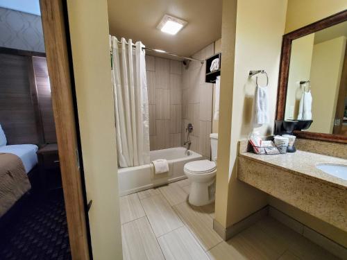 沃特敦Ramkota Hotel Watertown的浴室配有卫生间、浴缸和水槽。