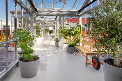 哥本哈根Zoku Copenhagen的一座种植了盆栽植物的温室,里面设有长凳
