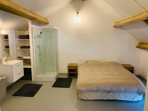 Frasnes-lez-AnvaingMMGhome的一间卧室设有一张床和一个玻璃淋浴间