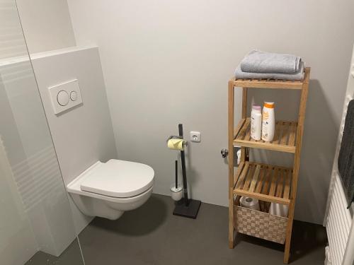 费尔德基希Skyloft Apartment Feldkirch的一间带卫生间的浴室和一个带毛巾的架子
