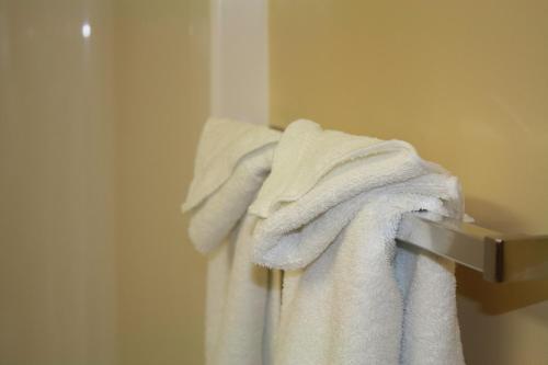 埃德蒙顿阿尔伯塔大学酒店的浴室毛巾架上的一堆毛巾