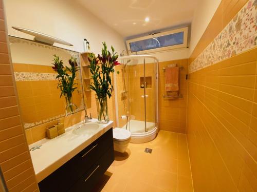 奥帕提亚Apartment AlMare的一间带水槽、淋浴和卫生间的浴室