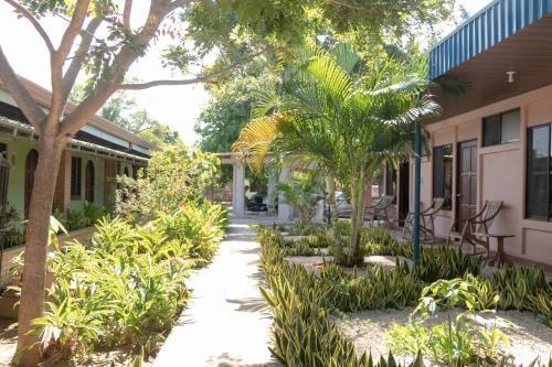 利比里亚Hotel Villa Hermosa的种有树木和植物的房屋的庭院