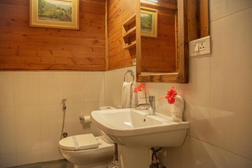 比尔梅德Misty Mountain Experience的浴室配有白色水槽和卫生间。