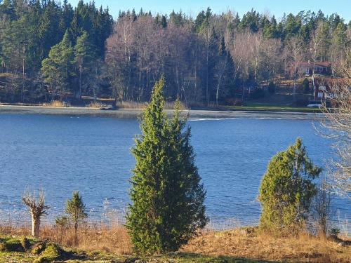 HargSjöstuga Vätö的享有两棵树的大型湖泊美景