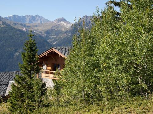 拉赫兹耶尔CGH Résidences & Spas Chalet Les Marmottons的山中树木的小木屋