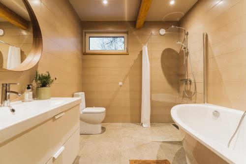 斯伽尔达Prieka Villa的带浴缸、卫生间和盥洗盆的浴室