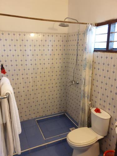 南威Nungwi Inn Beach Cottages的一间带卫生间和淋浴的浴室