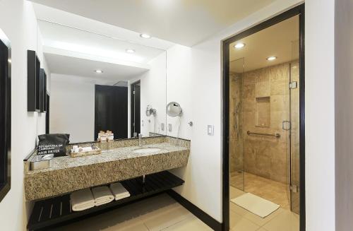 比亚埃尔莫萨比亚埃尔莫萨皇冠假日酒店的一间带大水槽和淋浴的浴室