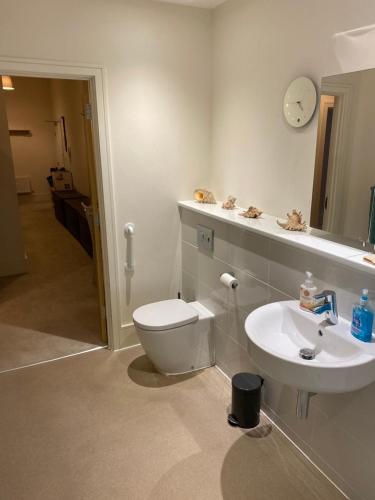 奇切斯特Chichester Luxury One Bed Apartment的浴室配有白色卫生间和盥洗盆。