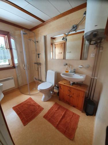 Nedre Norra ÖrnäsHaus am Lachsfluss的浴室配有卫生间、盥洗盆和淋浴。