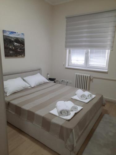 贝尔格莱德Apartman Karadjordje 2的一间卧室配有带毛巾的床和窗户。