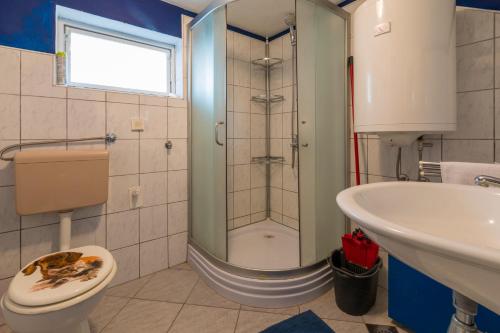 茨里克韦尼察AVISNJA的带淋浴、卫生间和盥洗盆的浴室