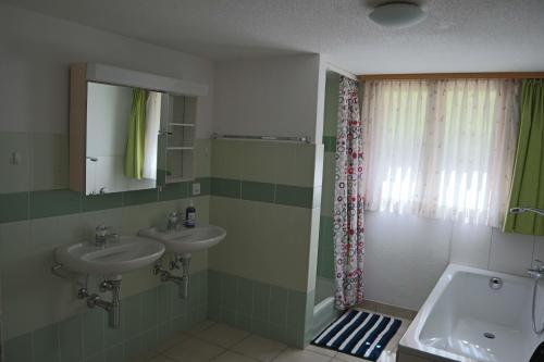 坎德施泰格Harri's BnB in Kandersteg, Ferienwohnung的一间带两个盥洗盆和淋浴的浴室