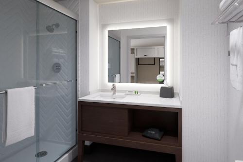 岩石丘罗克山假日酒店的一间带水槽、淋浴和镜子的浴室