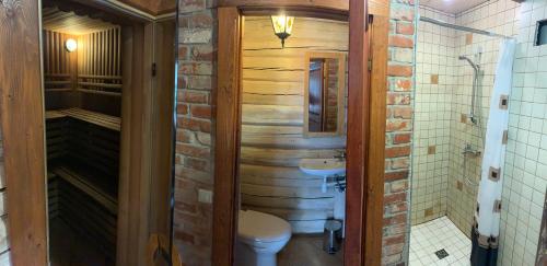 维尔纽斯Rustic private Cabin in woods w/ Sauna & Pool的一间带卫生间和水槽的浴室
