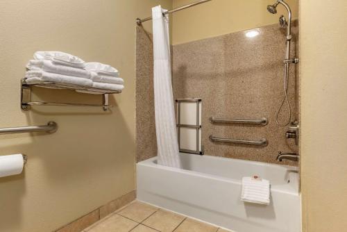 Comfort Suites Airport South的一间浴室