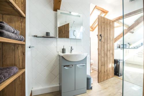纳伯斯Ashgrove Farm - 1 Bedroom Apartment - Llawhaden - Narberth的一间带水槽和镜子的浴室