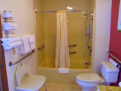 布兰森达顿酒店的带淋浴和卫生间的浴室