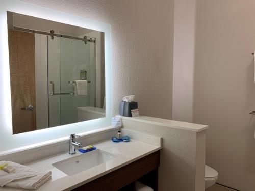丹维尔Holiday Inn Express & Suites Danville, an IHG Hotel的一间带水槽和大镜子的浴室