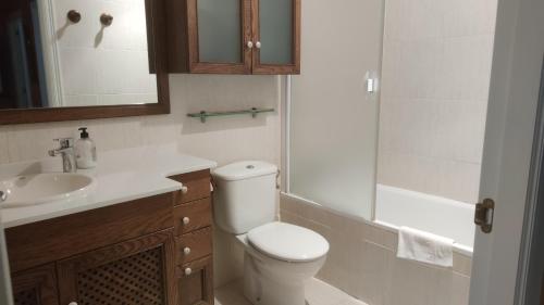 蒙达卡Mundaka Beach flat parking privado的一间带卫生间、水槽和镜子的浴室
