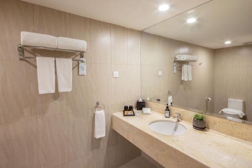关丹诺佳纳酒店的一间带水槽和镜子的浴室