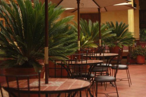 帕茨库卡罗波萨达德拉萨鲁德酒店的一间种有植物的带桌椅的餐厅