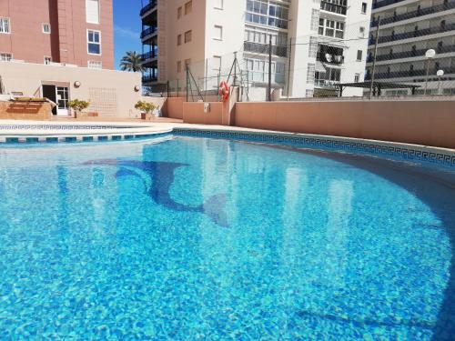甘迪亚海滩Caprimar Solo Familia Serviplaya的一个大型蓝色游泳池,其建筑背景为: