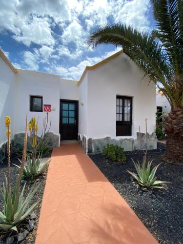 卡勒达德福斯特Apartment El Barco - Las Casas de Aron的棕榈树和走道的白色房子