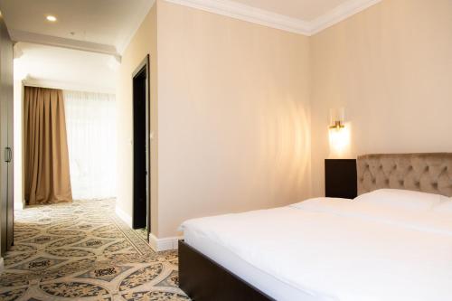 德罗贝塔-塞维林堡Hotel Palace Severin的酒店客房设有床和窗户。