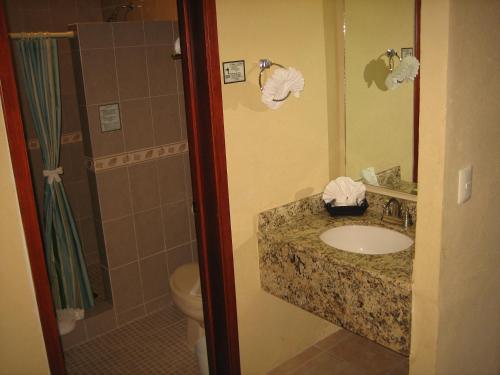 阿卡普尔科Hotel Delfines Acapulco by NG Hoteles的一间带水槽、卫生间和淋浴的浴室