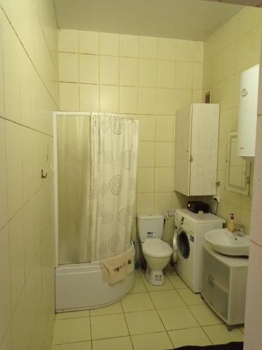 罗夫诺Park House的浴室配有卫生间、盥洗盆和洗衣机。