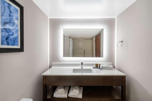 莫比尔摩拜尔温盖特温德姆酒店的一间带水槽和镜子的浴室
