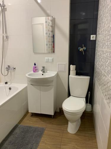 维什涅韦028 Апартаменты в ЖК "Софиевская Слободка"的白色的浴室设有卫生间和水槽。