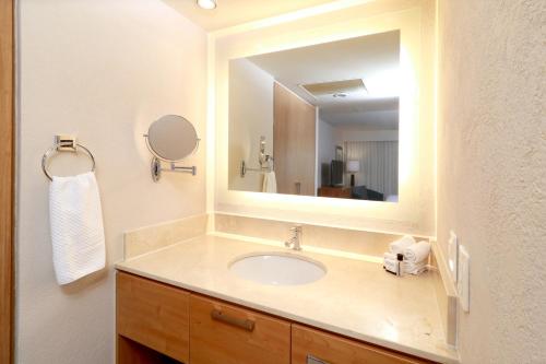 瓜达拉哈拉瓜达拉哈拉博览会驻桥套房假日酒店的一间带水槽和镜子的浴室