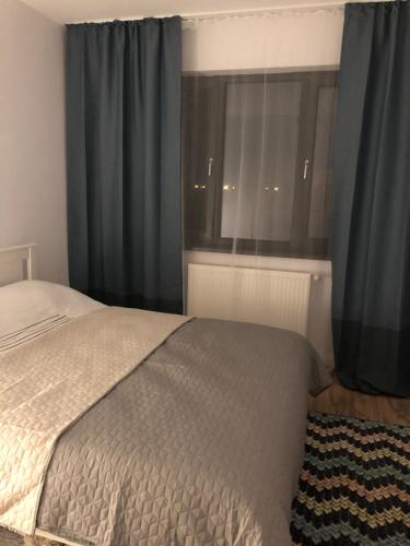 布加勒斯特Brancusi Apartment的一间卧室配有床和蓝色窗帘的窗户