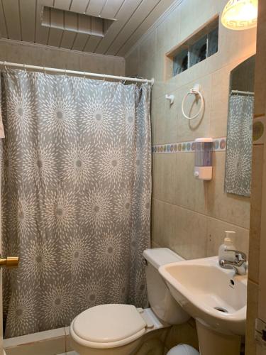 圣佩德罗·德·阿塔卡马Hostal Puritama的浴室配有卫生间、盥洗盆和淋浴。