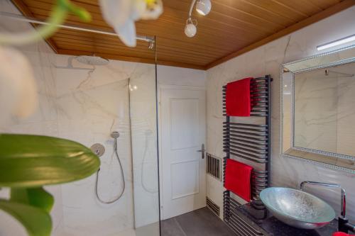 芬肯施泰因Garten Appartement Harmony的带淋浴、盥洗盆和镜子的浴室