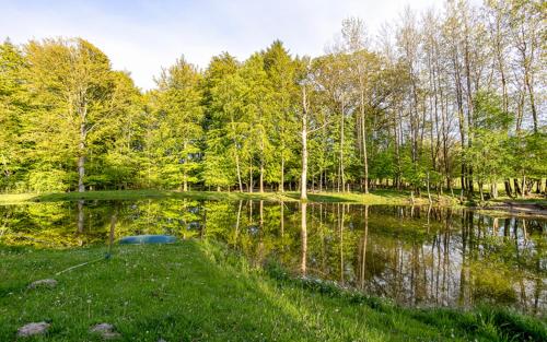 VeberödBjörkeslund的树木和草地公园里的池塘