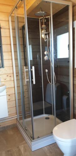DrangsnesHvammur 4 with private hot tub (Fagurgali)的一间带卫生间的浴室内的玻璃淋浴间