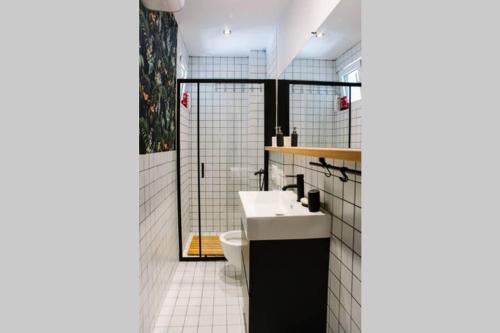 波德戈里察MILLENNIUM bridge cozy apartment TOP location的一间带水槽和卫生间的浴室