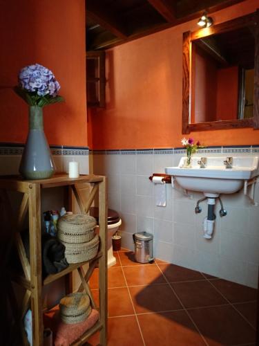 拉奥罗塔瓦El pajar de Inés的一间带水槽和卫生间的浴室