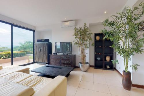 雅科Nativa A14的客厅配有盆栽植物和电视